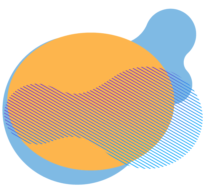 Foreground Image - Global Payroll (Solutions)